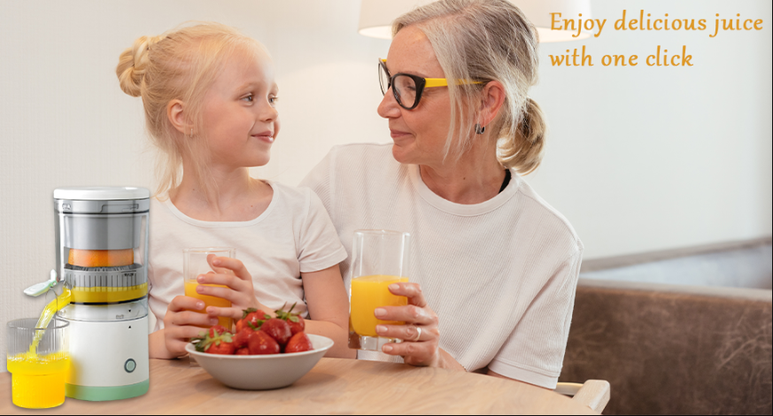 Electric Automatic Fruit Juicer