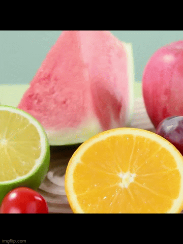 Electric Automatic Fruit Juicer